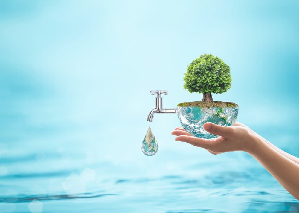 Gestión del agua